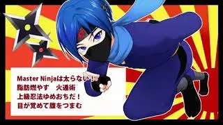 【 14th Anniversary  of KAITO 】 Master Ninja  Made in Japan