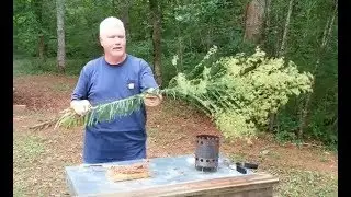 Choosing the right Horseweed for a GREAT hand drill spindle