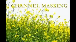 Advanced masking using a channel in Adobe Photoshop Part-7