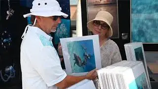 Art Festival Highlights