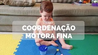 O QUE É COORDENAÇÃO MOTORA FINA