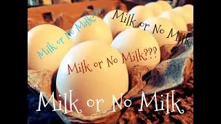A Scrambled Egg's Myth - Milk? or No Milk? 