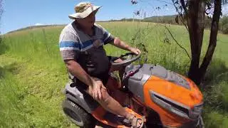 Cleaning up the Koala tree plantation