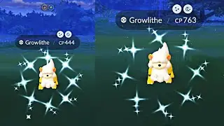 i Caught 2 🤯 Shiny ✨ Hisuian Growlithe in Pokemon Go | Wild Shiny Pokemon | Rare wild pokemon spawn