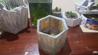 How to make Hexagon flower pots | Make Flower pot cement
