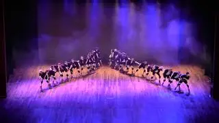 FIH2 2017 - ELITE DANCE CREW