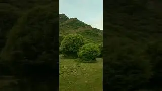 parachinar zeran watan