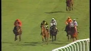 1989 Queen Mother Champion Chase  Barnbrook Again Includes Replay