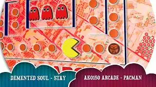 DEMENTED SOUL - STAY - AKO150 ARCADE