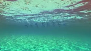 SEA SHORE - MicroWaves