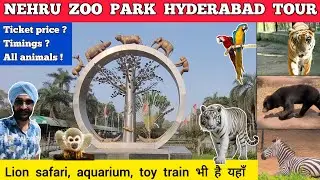 Hyderabad zoo park nehru zoological park hyderabad zoo park all animals | Hyderabad zoo park safari