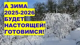 Удивительные предсказания на 2026 год! Зима Будет НАСТОЯЩЕЙ!