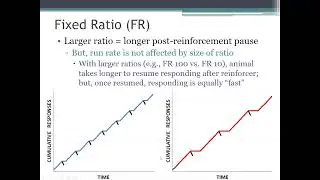 PSYC 370 Video Lecture - The Fixed Ratio (FR) Schedule of Reinforcement