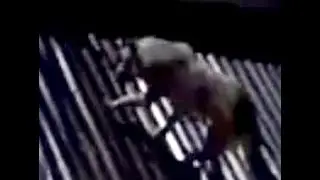 Aswang, Shapeshifters Caught in CCTV in Rizal, Philippines PART 2