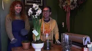 Locally Grown Blooms at House Flowers