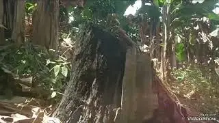 Melihat pemandangan indah perkampungan di bawah kaki bukit ( Rebuma )....