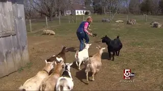 Bristol, RI: A Hope-Filled Farm & Magnificent Mansion