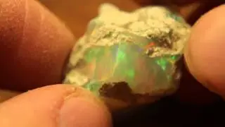 33.8ct Brilliant 5/5 Honey Comb Pattern Welo Opal Rough Specimen
