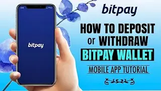 Как внести депозит или вывести средства с кошелька BITPAY | Руководство по использованию приложения Bitcoin