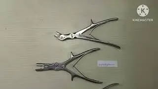Kapalin Handmade German Instruments with 10 yrs Warranty & self life of 35-40 yrs kapalinb@yahoo.com