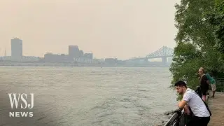 Montreal Records World's Worst Air Quality Due to Wildfires in Canada | WSJ News