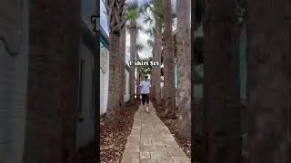 GRWM #33 Walking through palms 👟🌴#nike #hurley #naturallifestreetwear #levis