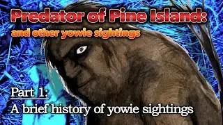 Predator of Pine Island: Part 1 (A brief history of yowie sightings)