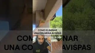 Como eliminar una colmena de avispas.#curiosidades #supervivencia #sabiasque sabi