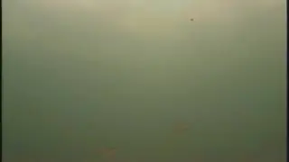 Perch at Jackfish lake AB