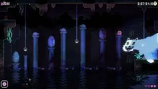 ANIMAL WELL Any% in 15:56:54