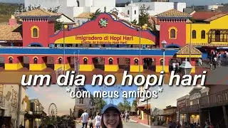VLOG: um dia no hopi hari 🎡🎢 ~parque de diversões~