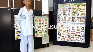 Duo Asakha Изготовление Динозавра Qixels.