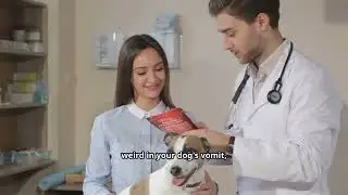 5 Signs Your Dog Might Have Worms 🪱 | Dog Health Awareness