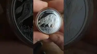 Buffalo Silver Round #preciousmetals #shortsfeeds  #buffalo #coin #silverbullion