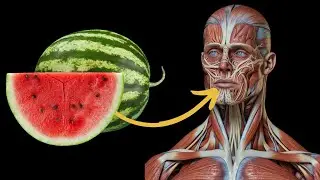What Happens To Your Body If You Eat Watermelon Every Day