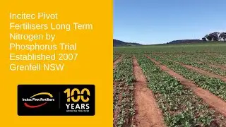 Long Term Nitrogen by Phosphorus Trial by Jim Laycock