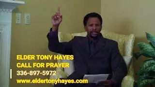 Tony Hayes  
