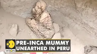 800 years old mummy discovered in Peru | Mummification | Latest English News | World News