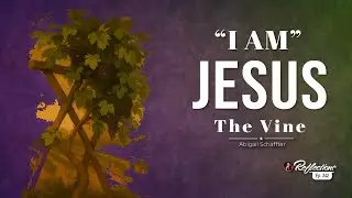 Reflections - &ldquo;I Am&rdquo; Jesus -  The Vine