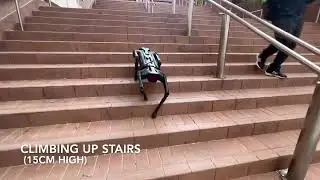 Blind Quadruped Robot Locomotion Across Different Terrains