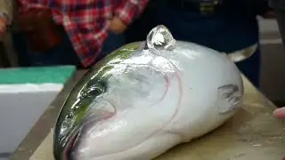 Япония Морепродукты - Крупный Желтохвост (Лакедра) Сашими