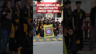 SEDULUR LAMONGAN TADI PAGI PADEPOKAN SH WINONGO#shorts#feedshorts #pshw #pshwtm #shwinongo1903