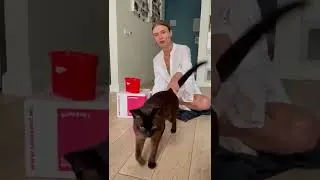 Покажи натуральное питание для кошек SUPERPET &mdash; видео-распаковка и отзыв от кота Балу и его хозяйки