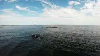 Aerial View of an Ocean