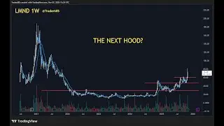 Trader685 CHART GARDEN 07 Nov 2025