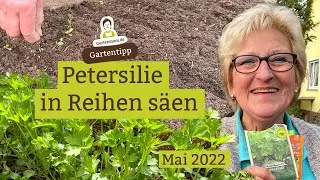 Petersilie in Reihen ans&auml;en - Eine m&ouml;gliche Ansaat-Methode