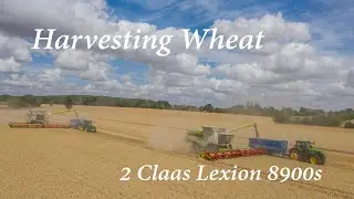 Strutt & Parker Farms - Harvesting Wheat -  Claas Lexion 8900