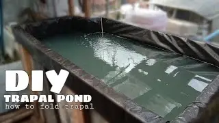 How to make Fish Pond at home