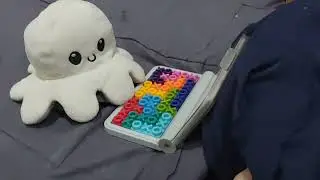 How to take care of a octopus plush