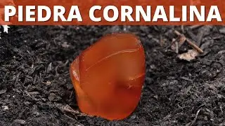PIEDRA CORNALINA: 10 DATOS INTERESANTES DE LA PIEDRA CORNALINA